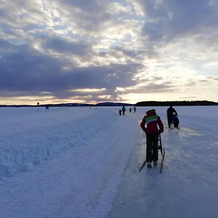 Lake Pielinen Lodges * Vuonislahti