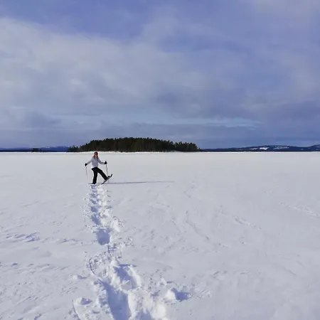 Lake Pielinen Lodges